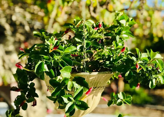 Vakantiehuis Laureles El Paso